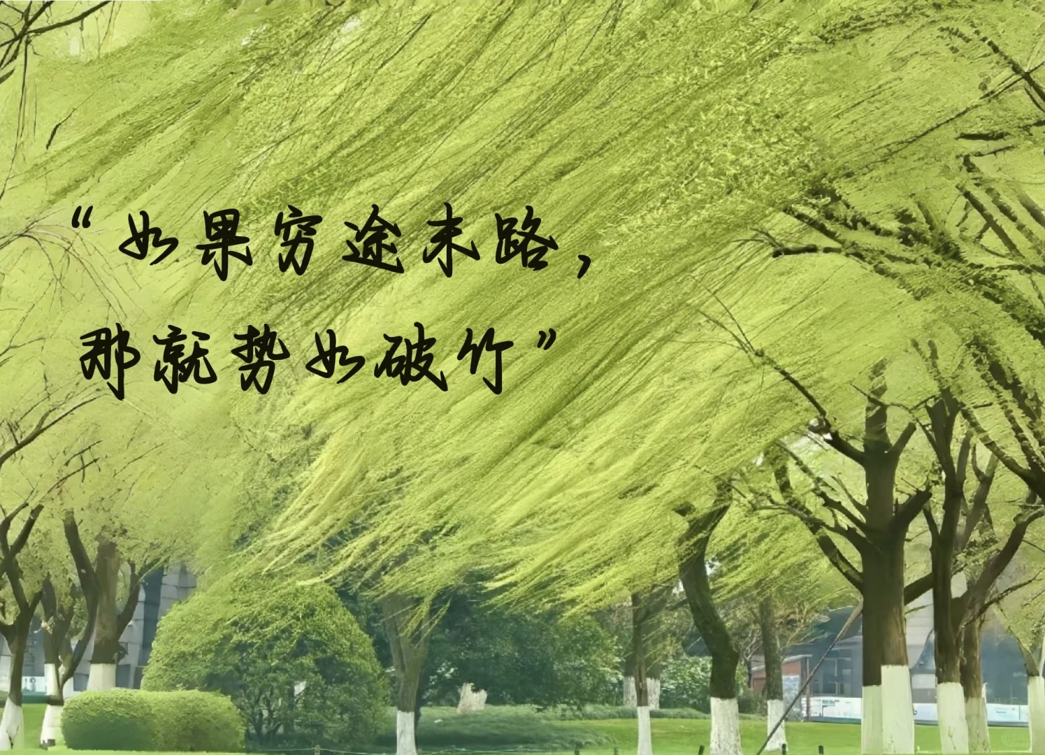 我应是自己的靠山 ipad壁纸