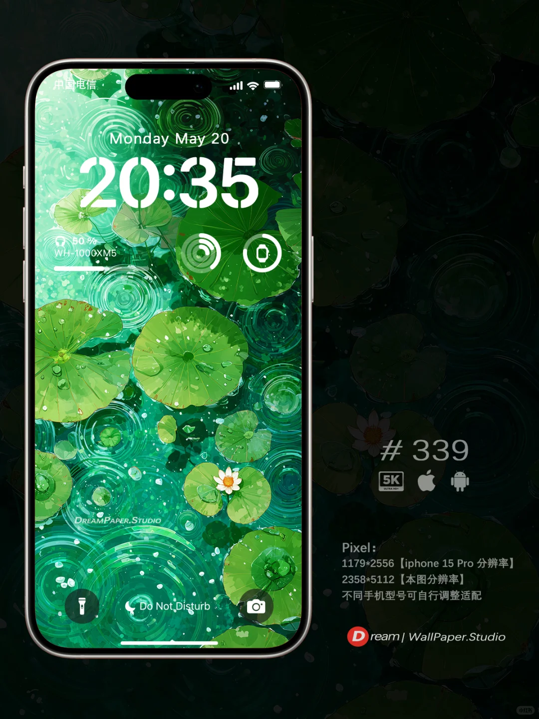 Dream壁纸/“江南又梦烟雨,细雨轻拂荷塘”