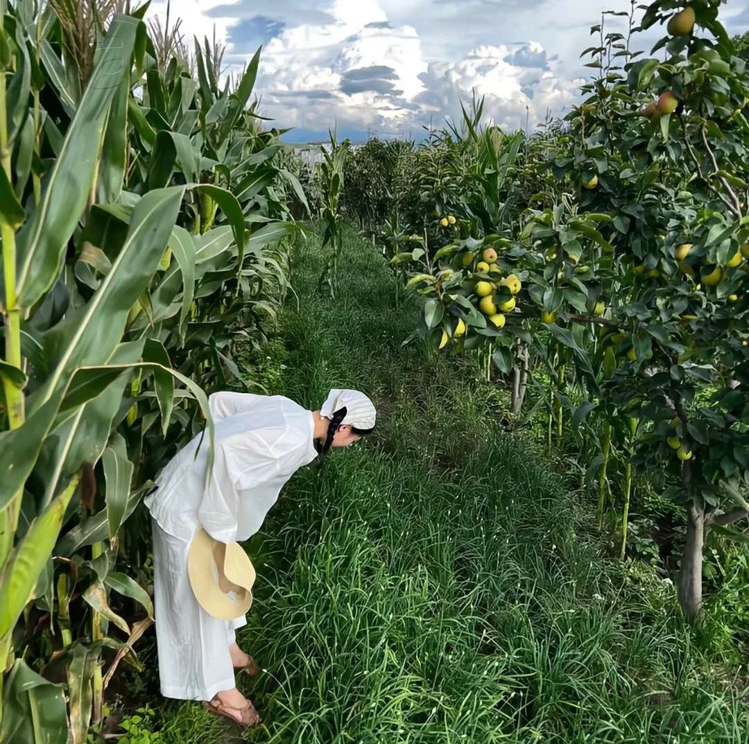 唯美治愈绿色女生头像