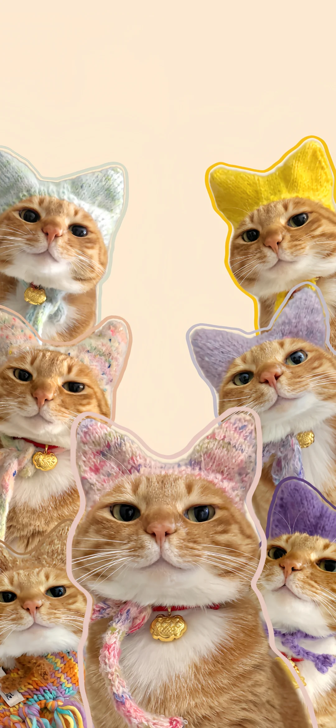 猫猫头壁纸又更新啦