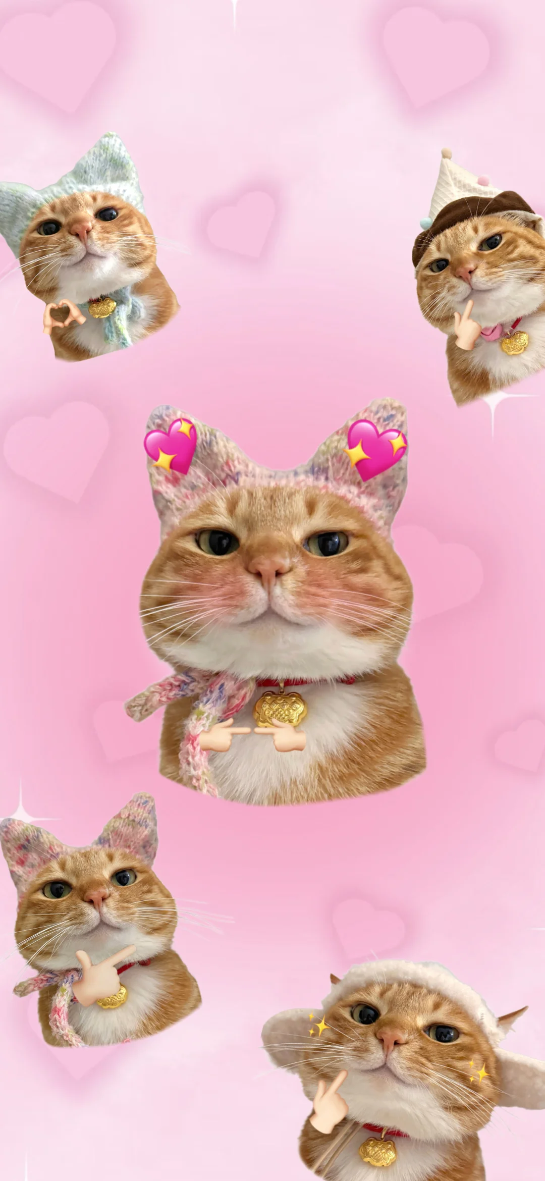 猫猫头壁纸又更新啦