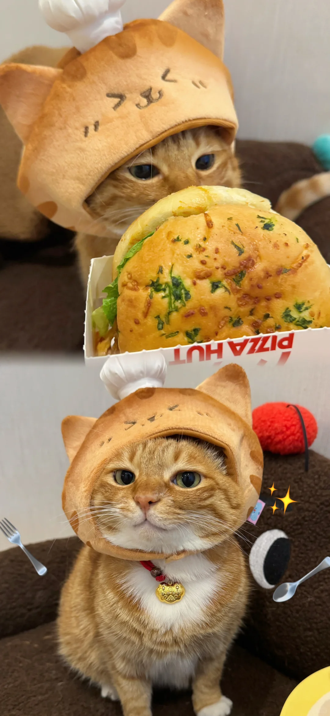 猫猫头壁纸又更新啦