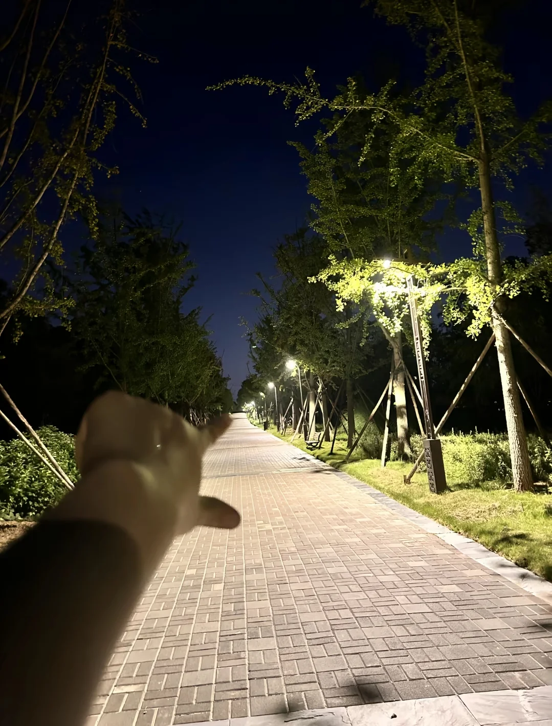 今日份5km，不为消耗卡路里，只为消耗坏情绪