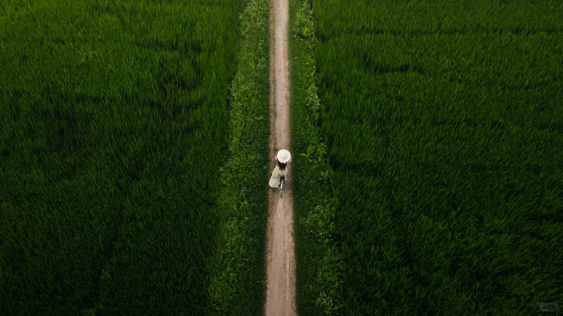 精选超清电脑壁纸