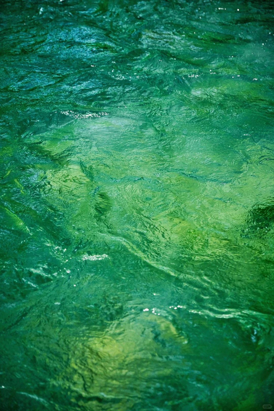壁纸 |🍃太美了！胶片里的绿翡翠溪流💧