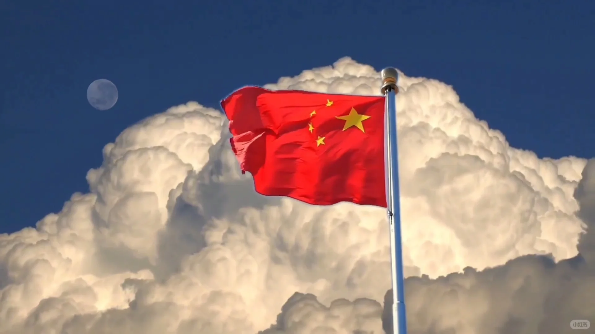 治愈系动态背景图｜自然与浪漫同框