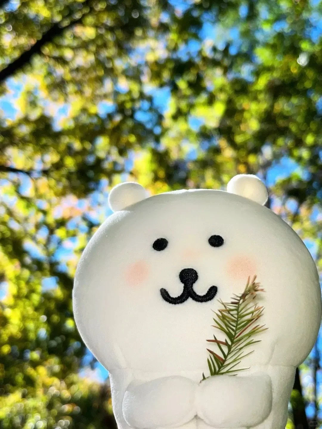 人 ，熊要你幸福