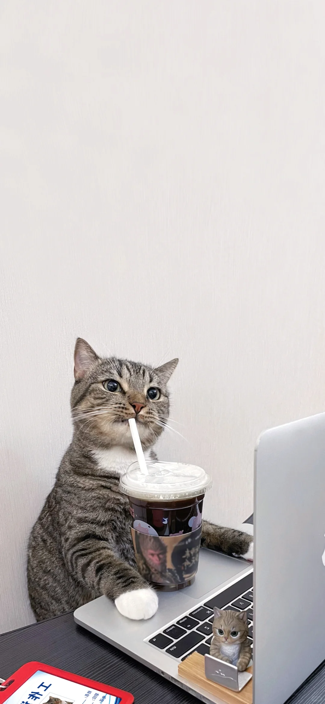 小猫学习导致大学生贬值！