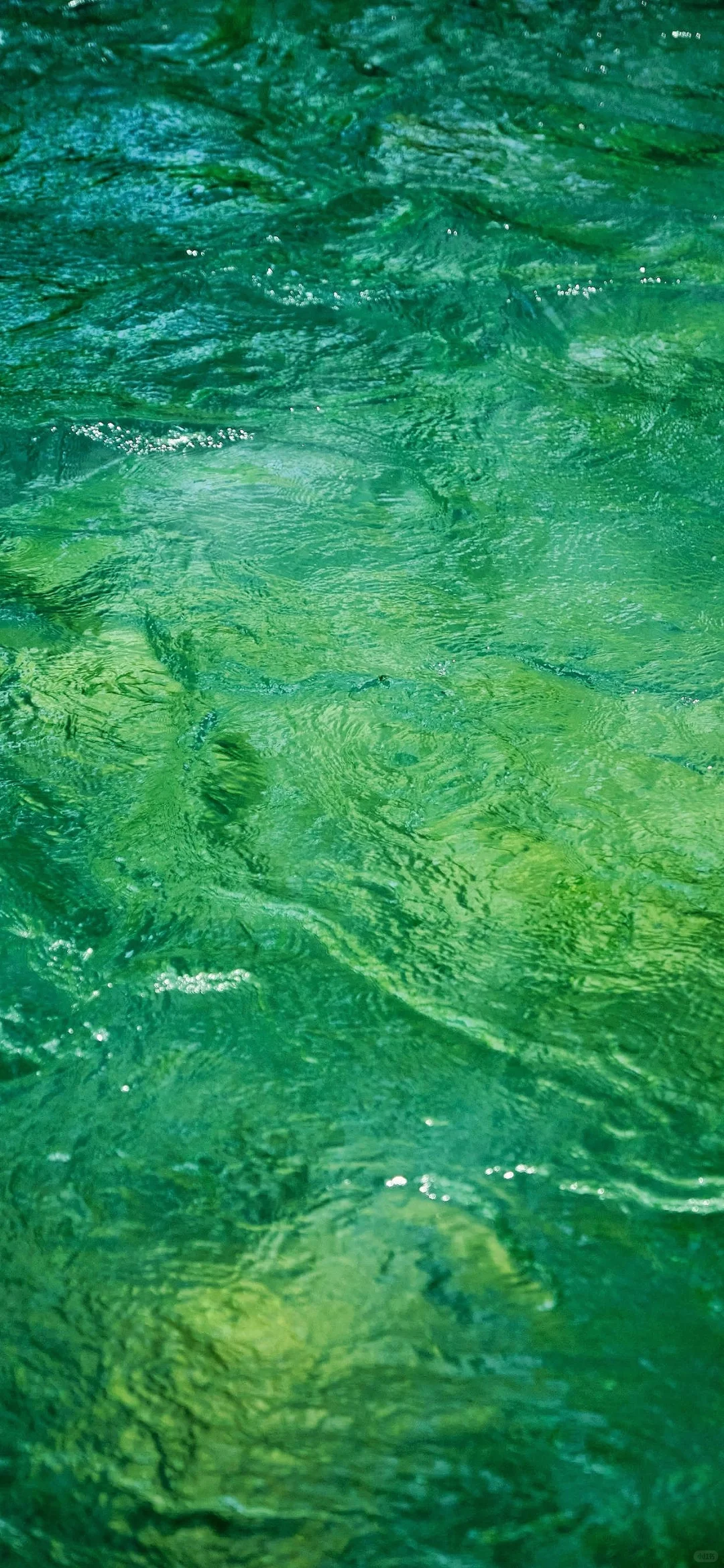 壁纸 |🍃太美了！胶片里的绿翡翠溪流💧