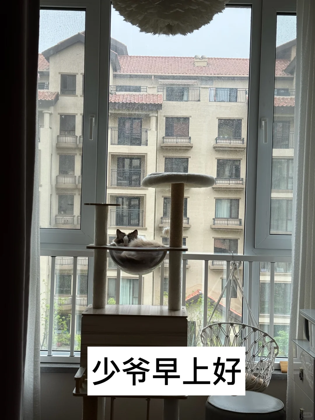 有人要看我的咪咪吗