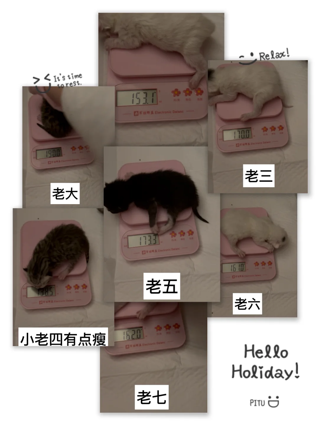 有人要看我的咪咪吗