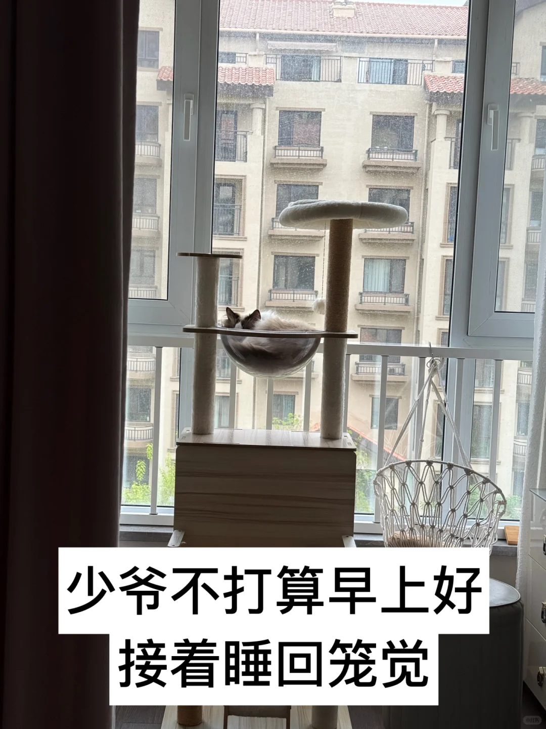 有人要看我的咪咪吗