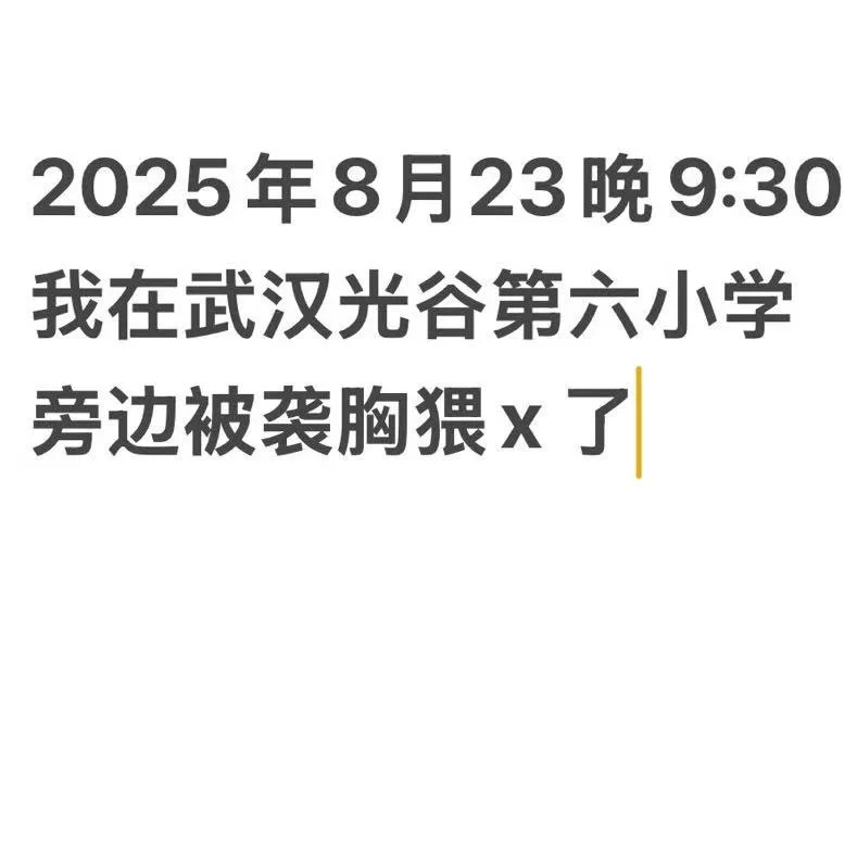 我在武汉光谷六小旁边马路被袭胸猥X了