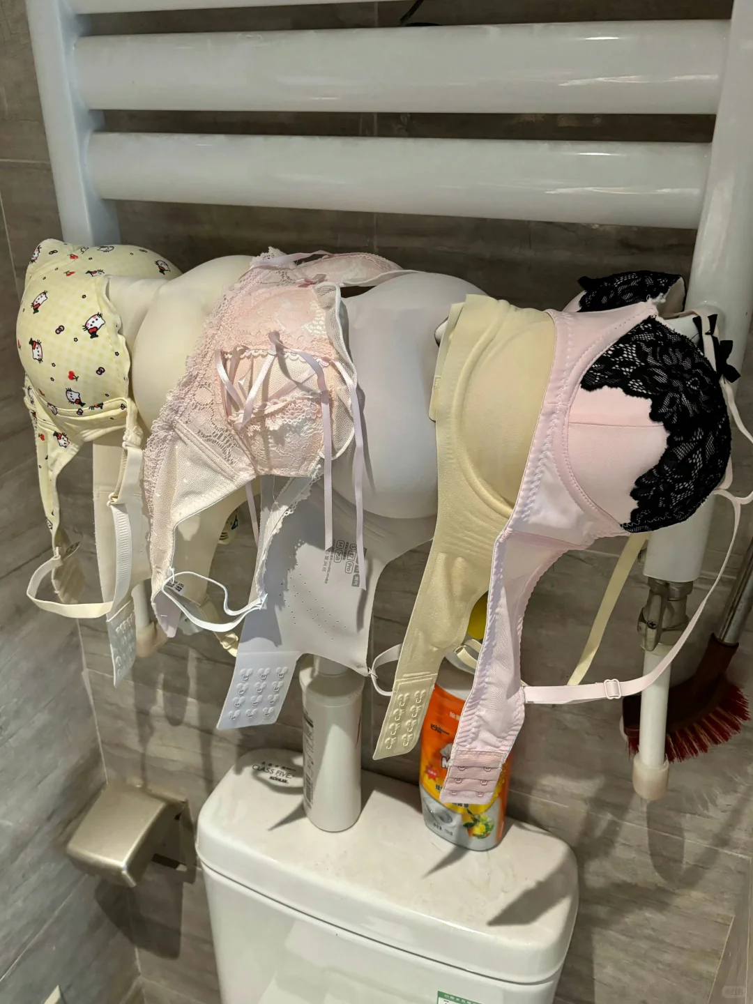 谁懂？这些是我a胸女朋友的命根子