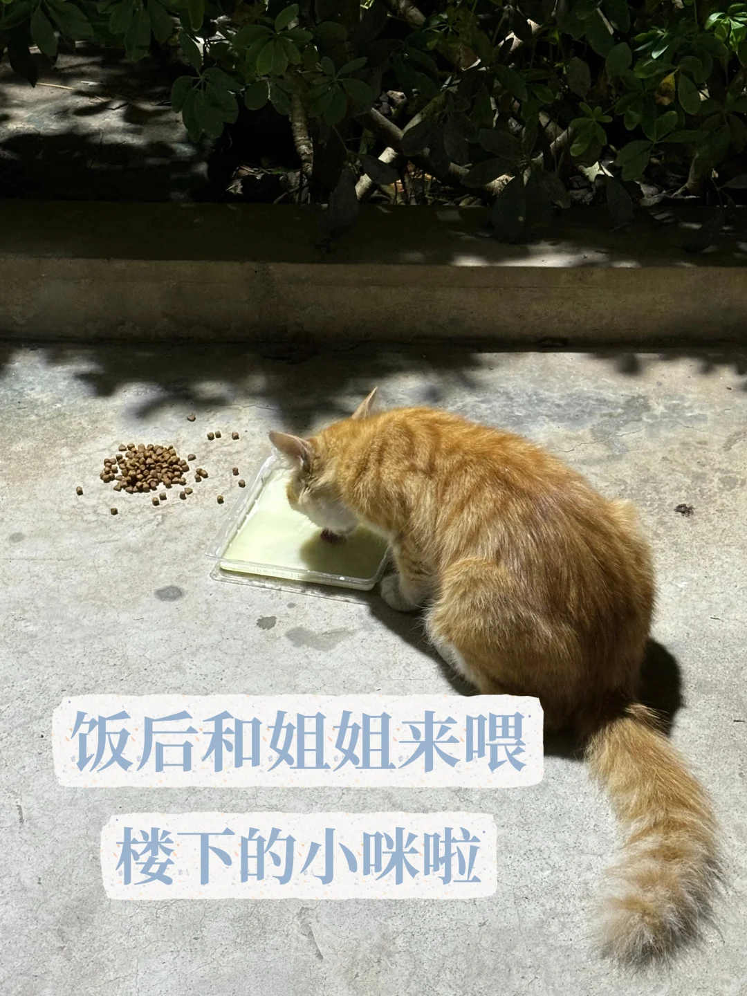 「全女小家开始」👭🏠 和姐姐的慢生活