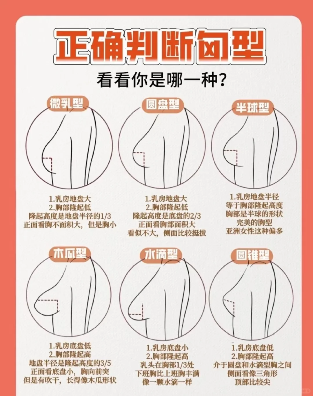 教你如何正确判断胸型！
