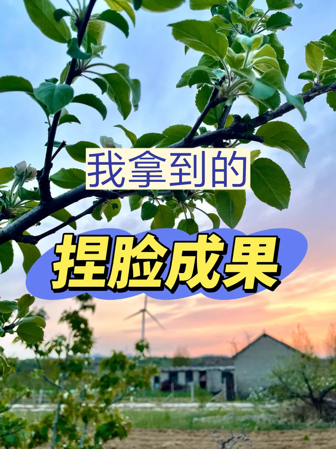 外貌💐丨报告!我拿到捏脸成果了