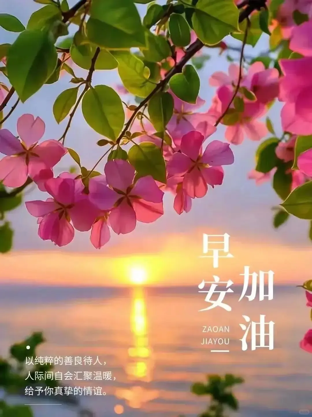 早安🌷快乐不在远方，而在心上。