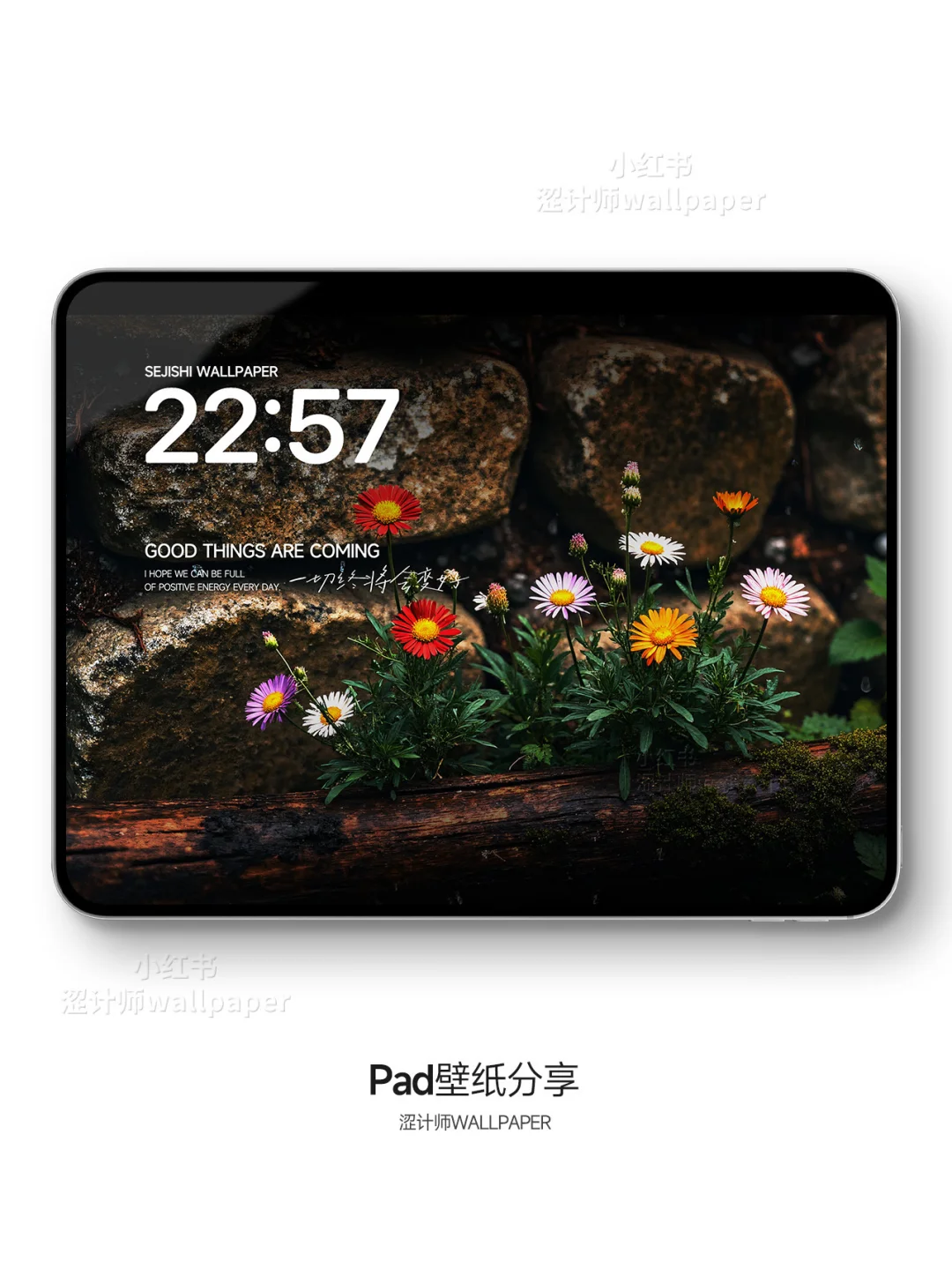 治愈系小花花｜4k高清平板壁纸｜A152
