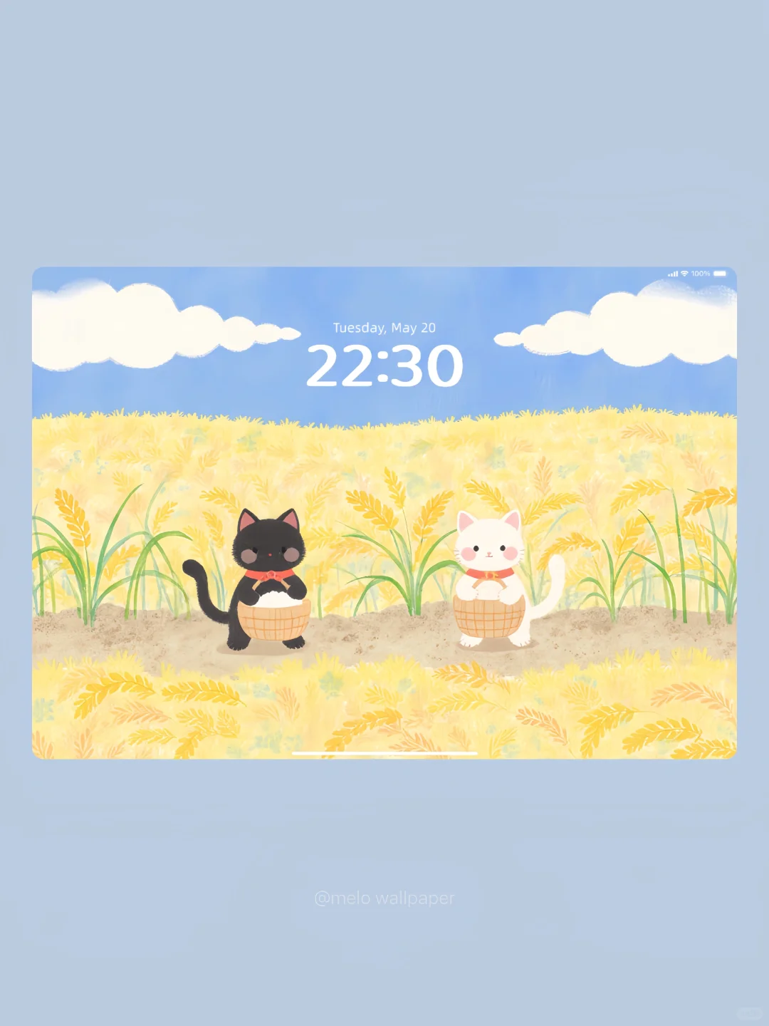 🌾金灿灿的麦粒让人心好暖 | iPad平板壁纸