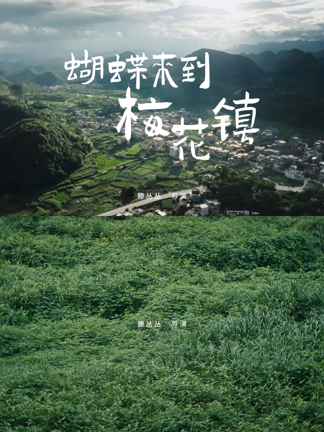 女导演，好，真好，太好了。