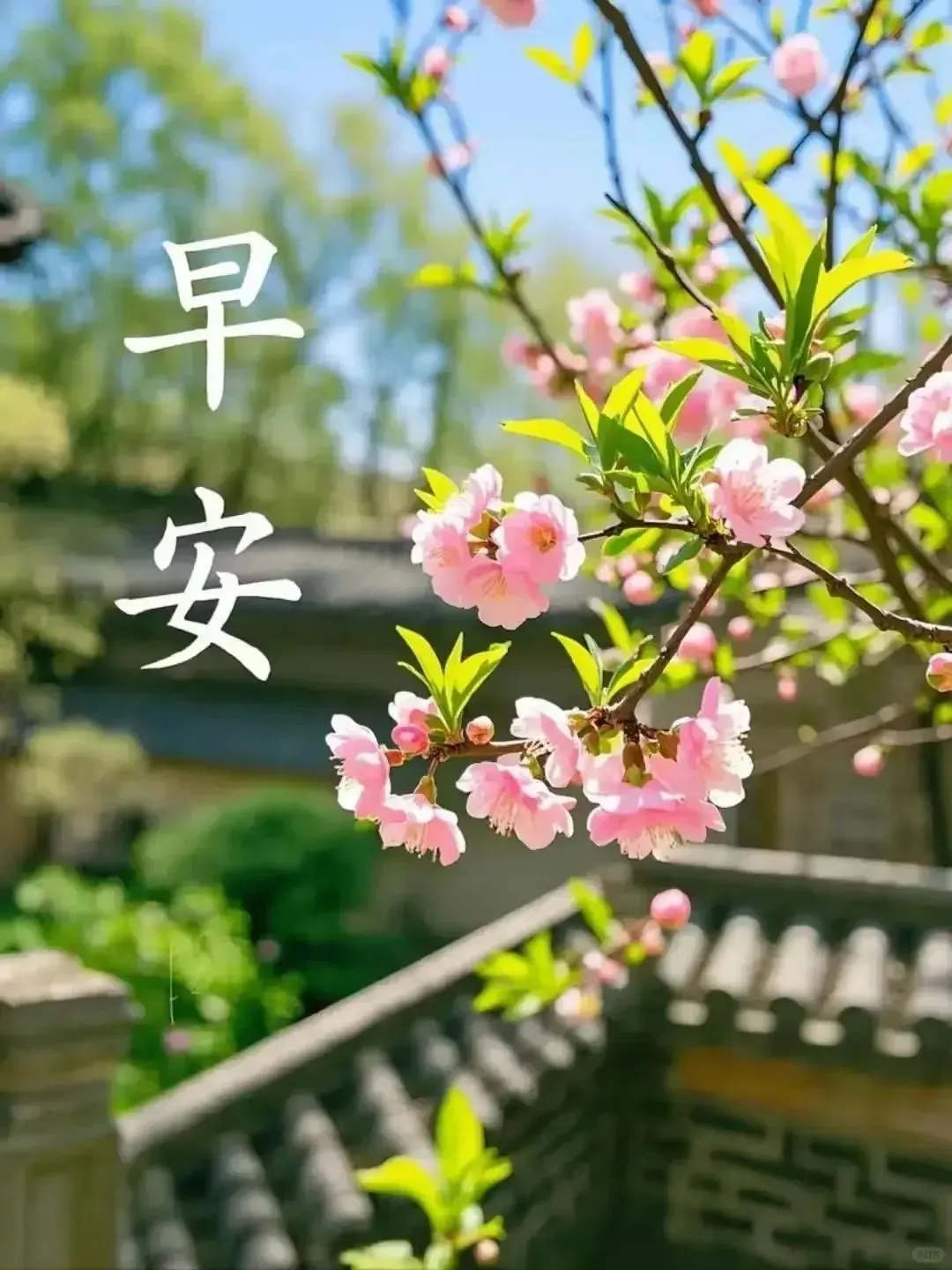 早安🌷快乐不在远方，而在心上。