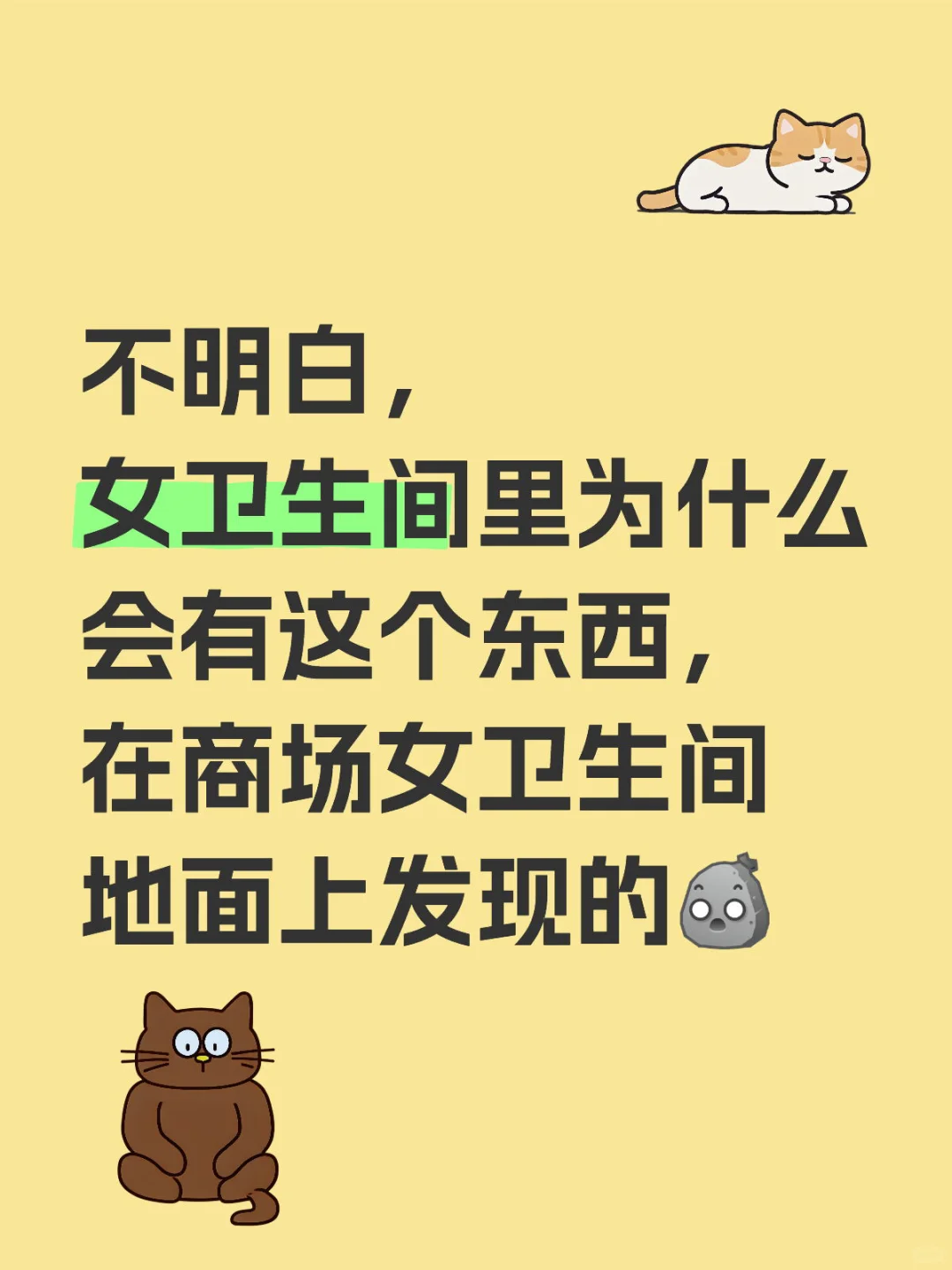 在女卫生间里看到了这个