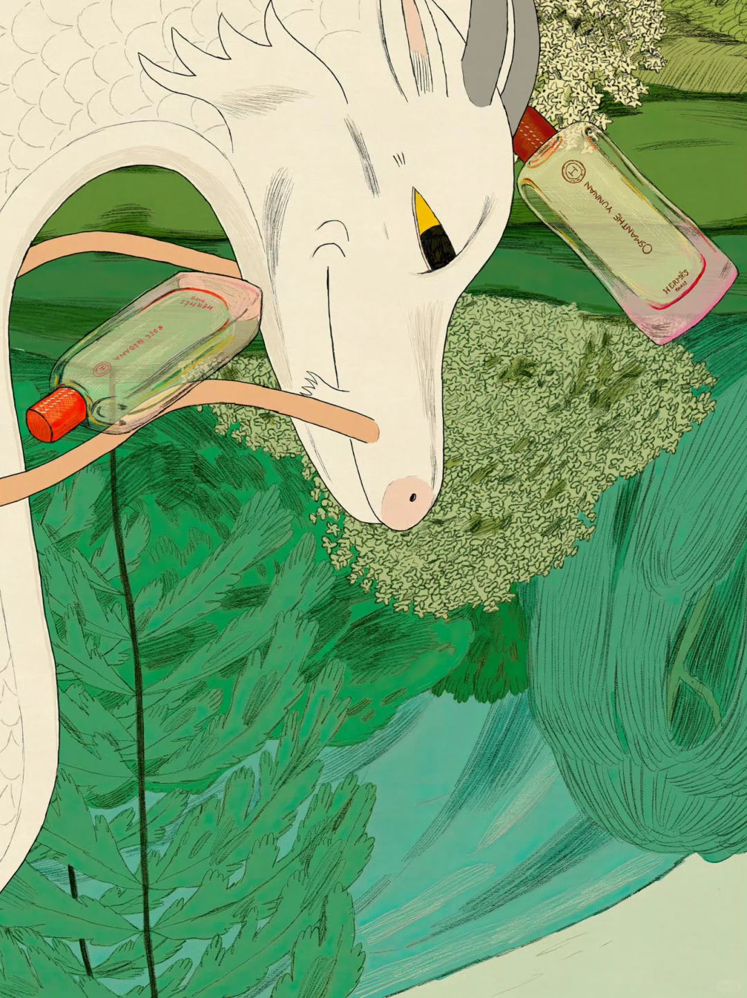 每日插画分享|德国插画师Karlotta