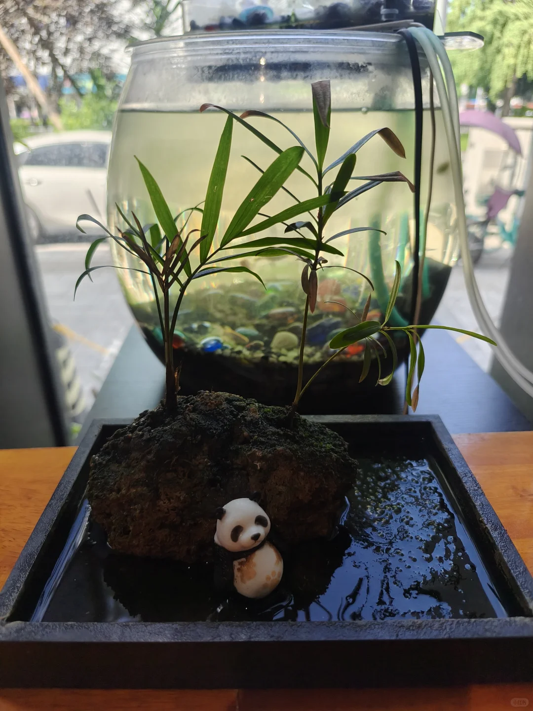 今天又是你眼里好迷人的女朋友鸭🖤🖤