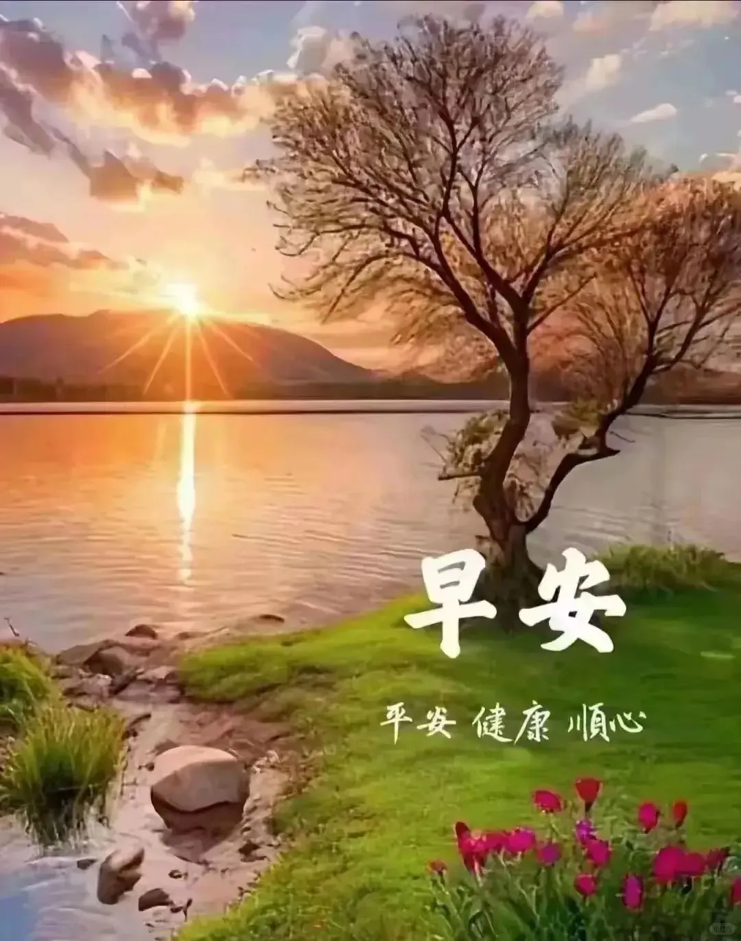 早安🌷快乐不在远方，而在心上。