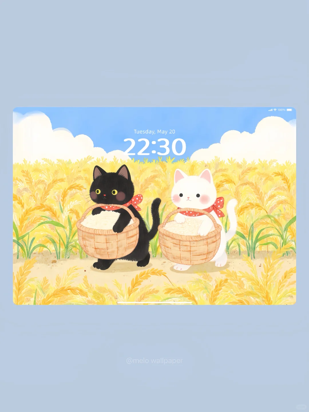 🌾金灿灿的麦粒让人心好暖 | iPad平板壁纸