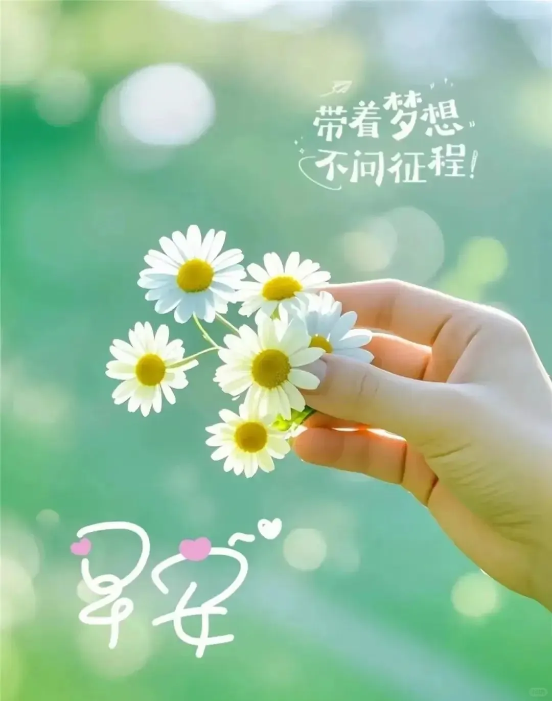早安🌷快乐不在远方，而在心上。