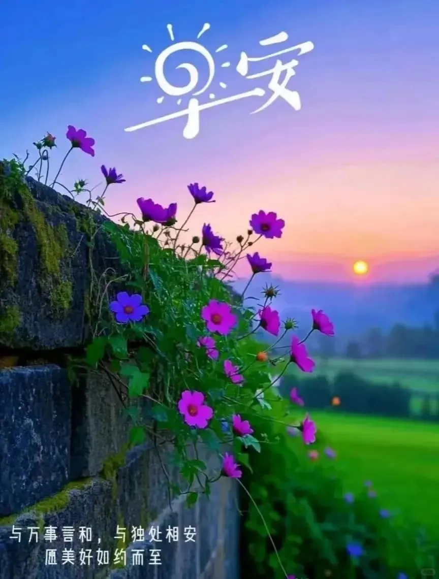 早安🌷快乐不在远方，而在心上。