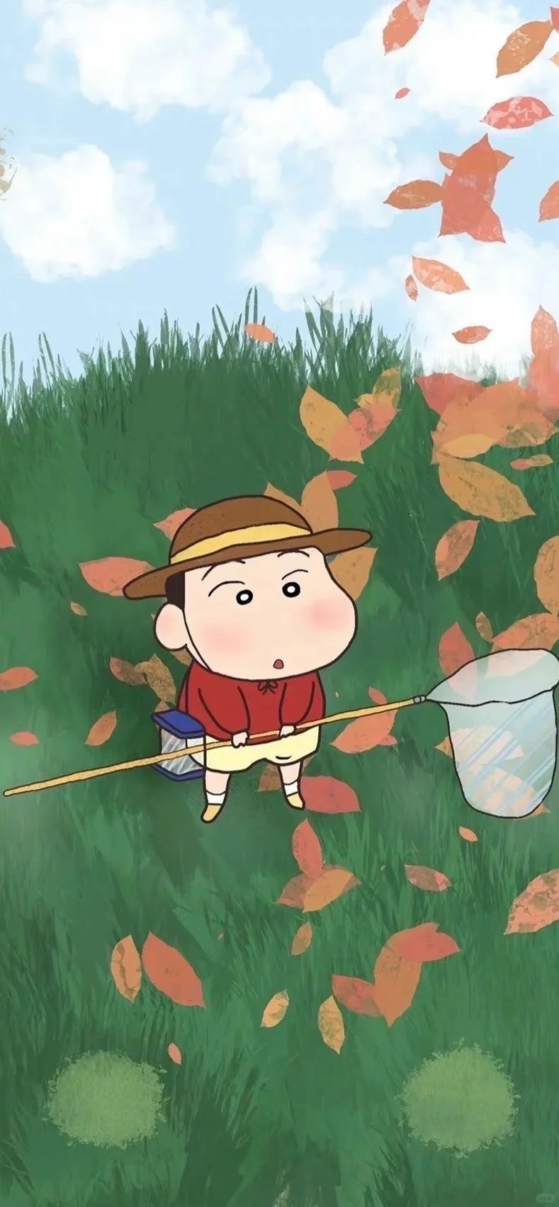 壁纸好心情