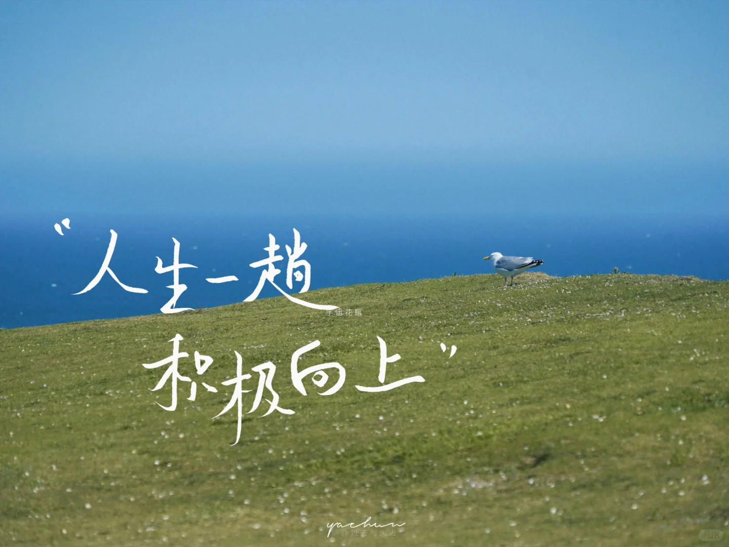 iPad壁纸| 手写壁纸 / 人生一趟，积极向上
