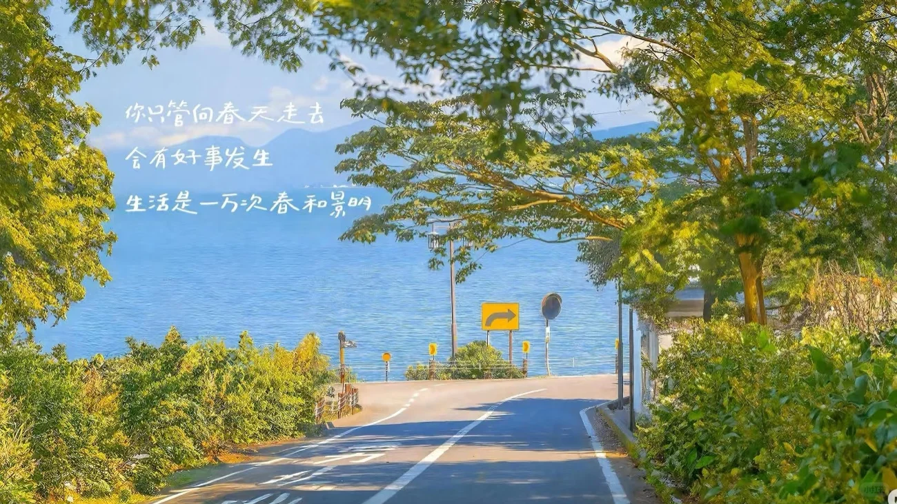 适合plog博主的平板电脑壁纸，公主请自取♡