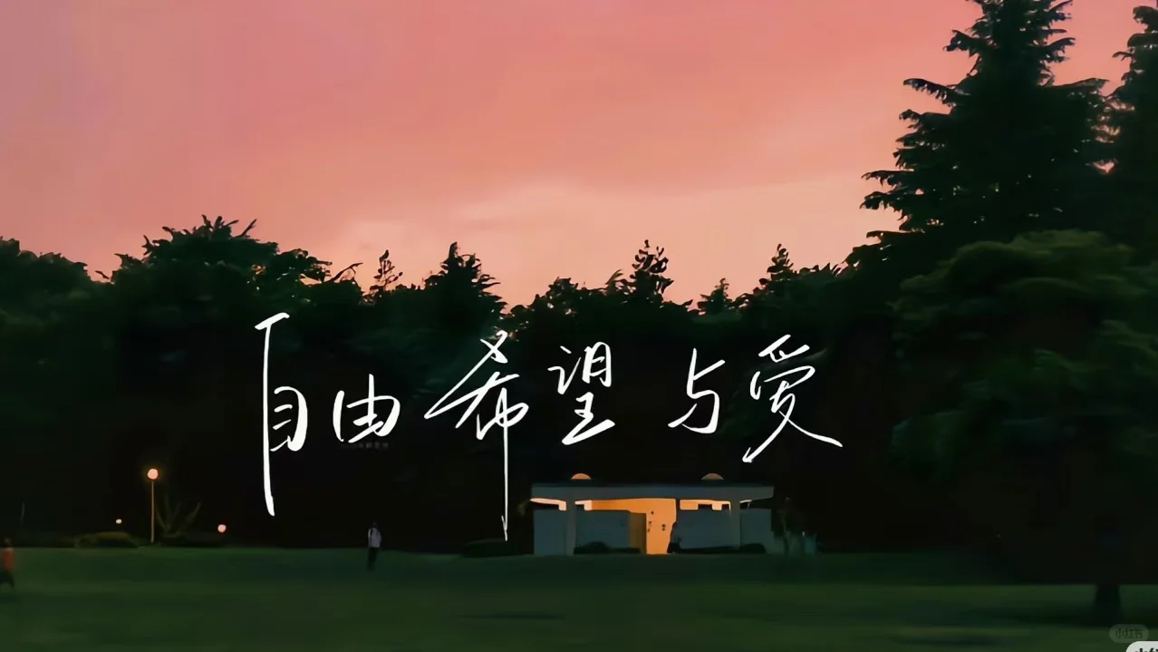 适合plog博主的平板电脑壁纸，公主请自取♡