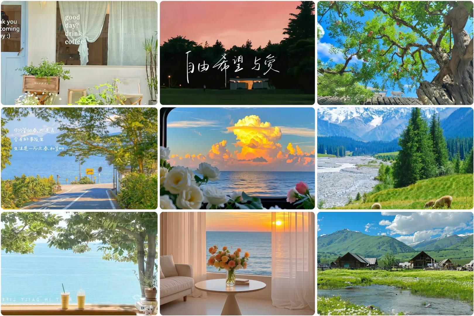 适合plog博主的平板电脑壁纸，公主请自取♡