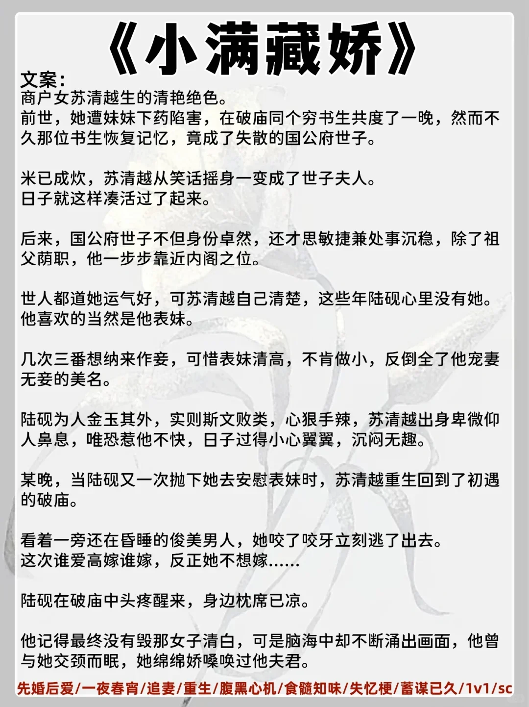 女主是娇媚表姑娘古言！男主把持不住狠狠宠
