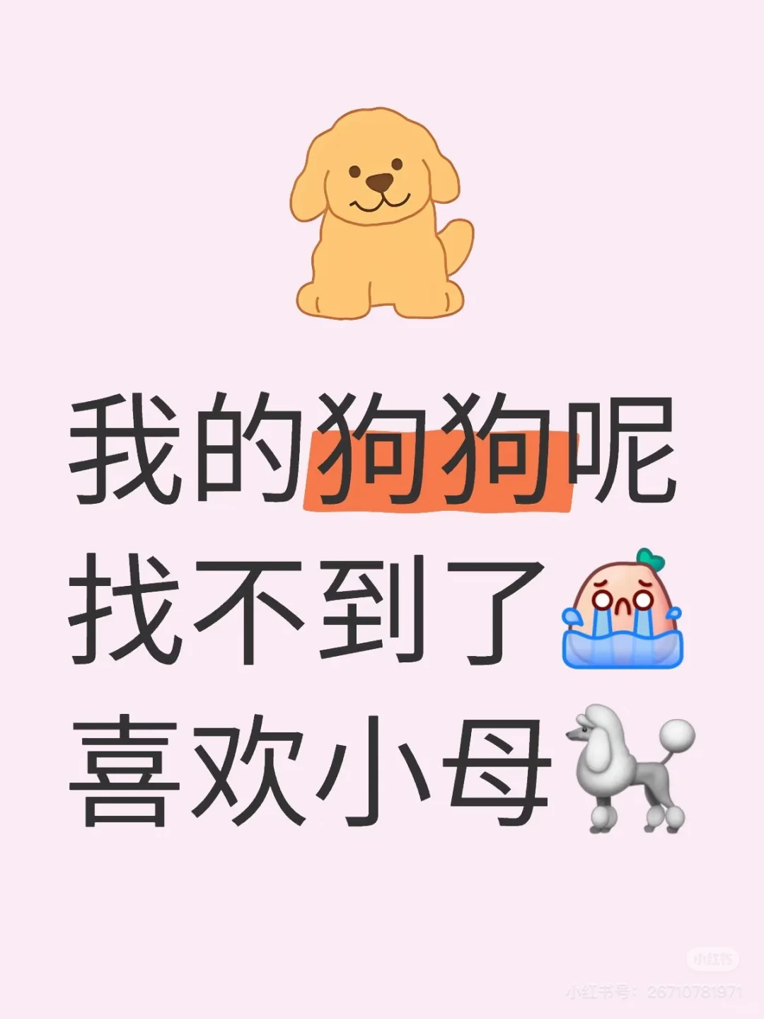 想有一只专一的母狗，福建的最好，点赞