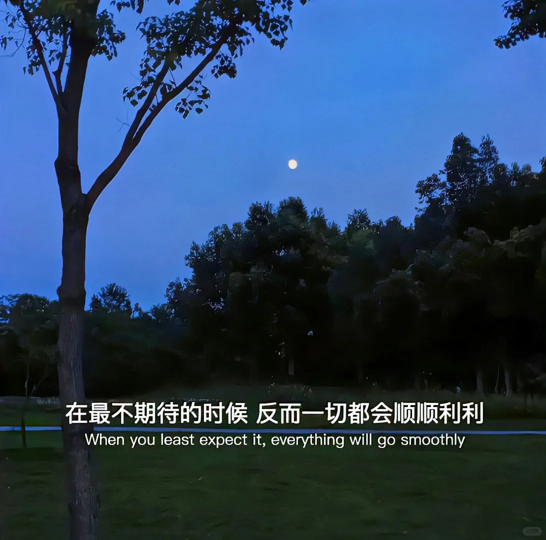 20250831背景壁纸｜祝你今天愉快～