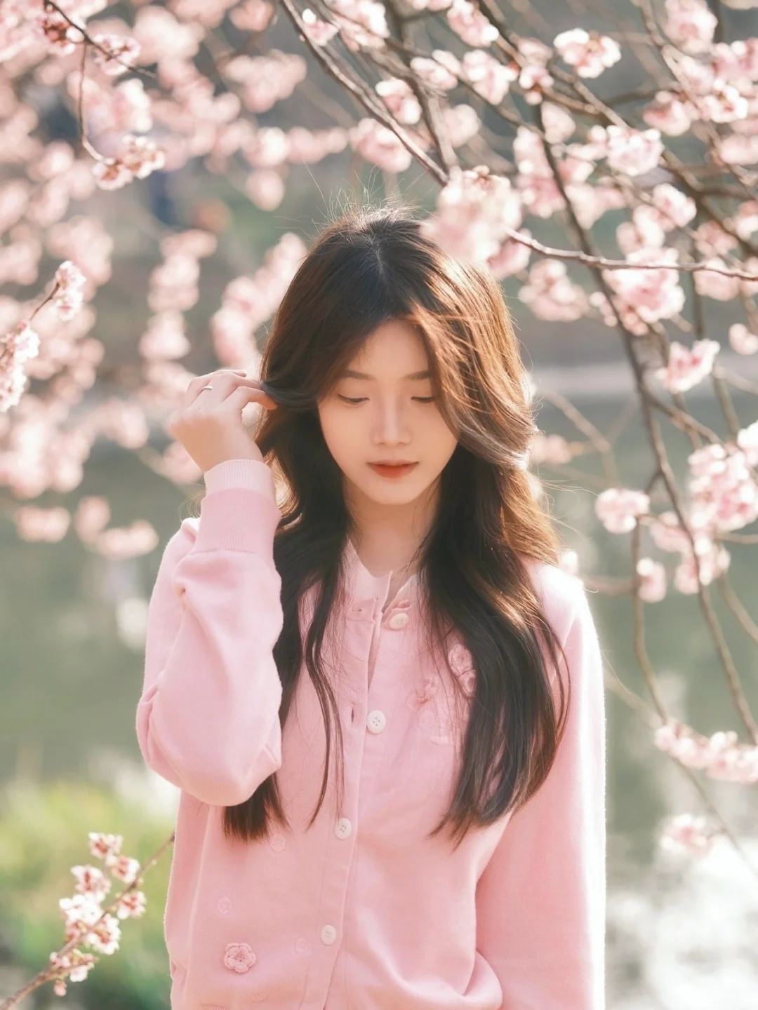𝙎𝙖𝙠𝙪𝙧𝙖 𝙇𝙚𝙩𝙩𝙚𝙧 🌸 ⁺ ♡̴.⋆