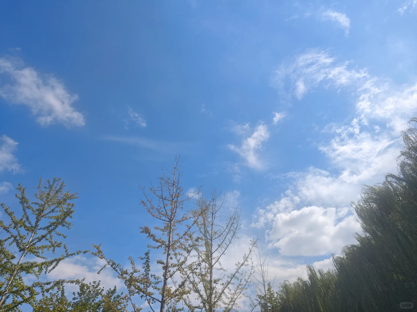 今日天空 🚴☀️