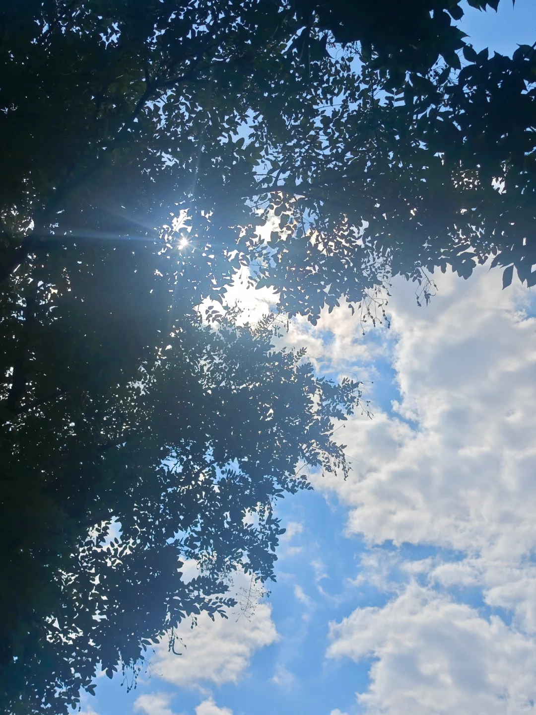 今日天空 🚴☀️