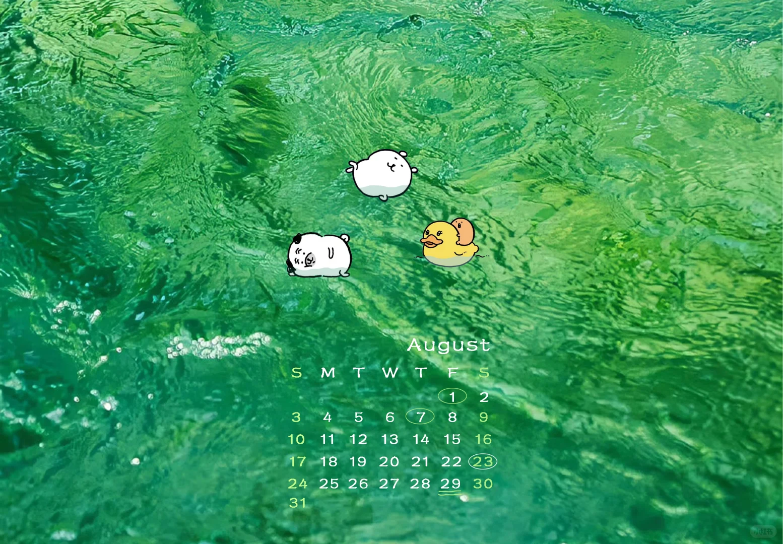 8月壁纸 | 清凉夏天 🍈