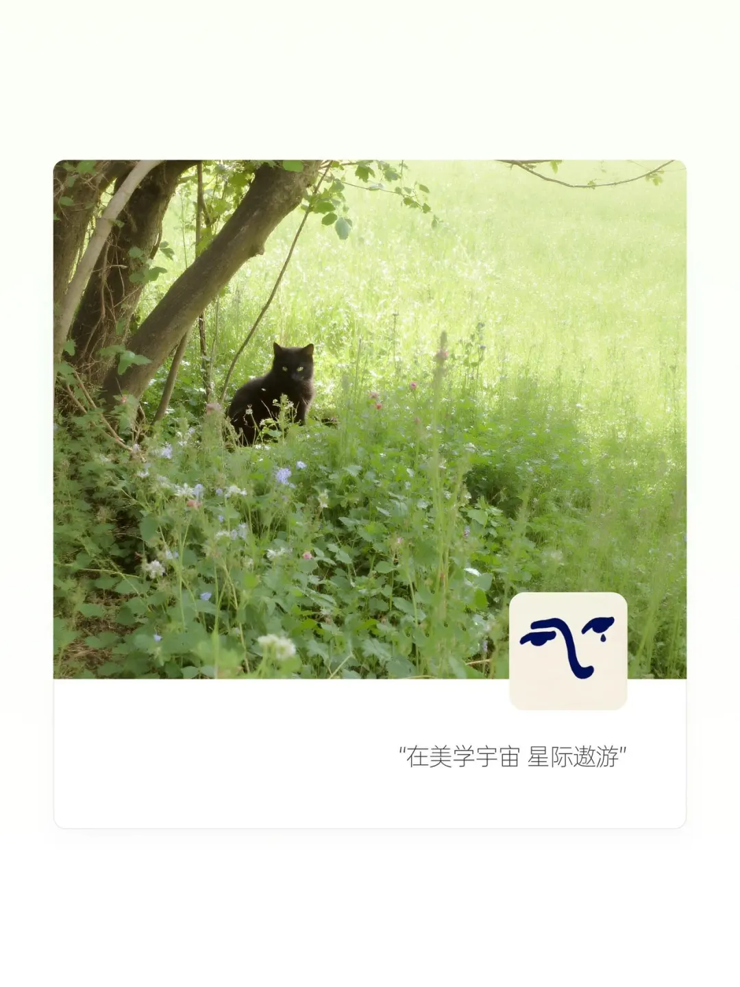 日里的的精灵₊ ⊹❀
