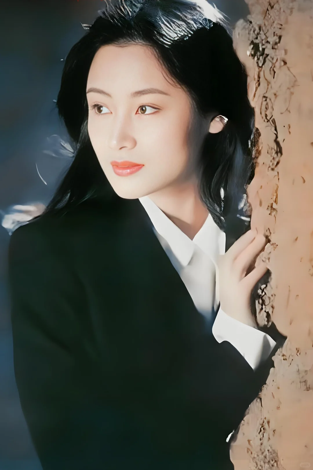 大陆第一美人—陈红