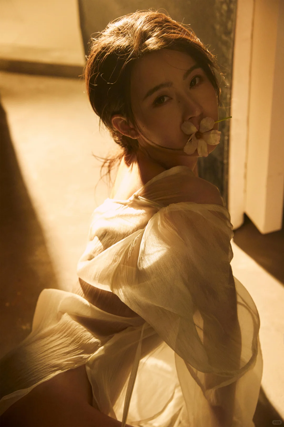 光影私房写真✨丁达尔美学的无声诉说