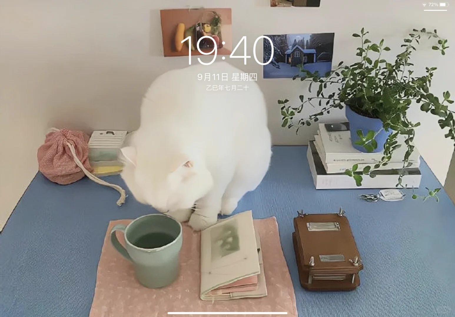 iPad壁纸｜可爱喵性人平板壁纸