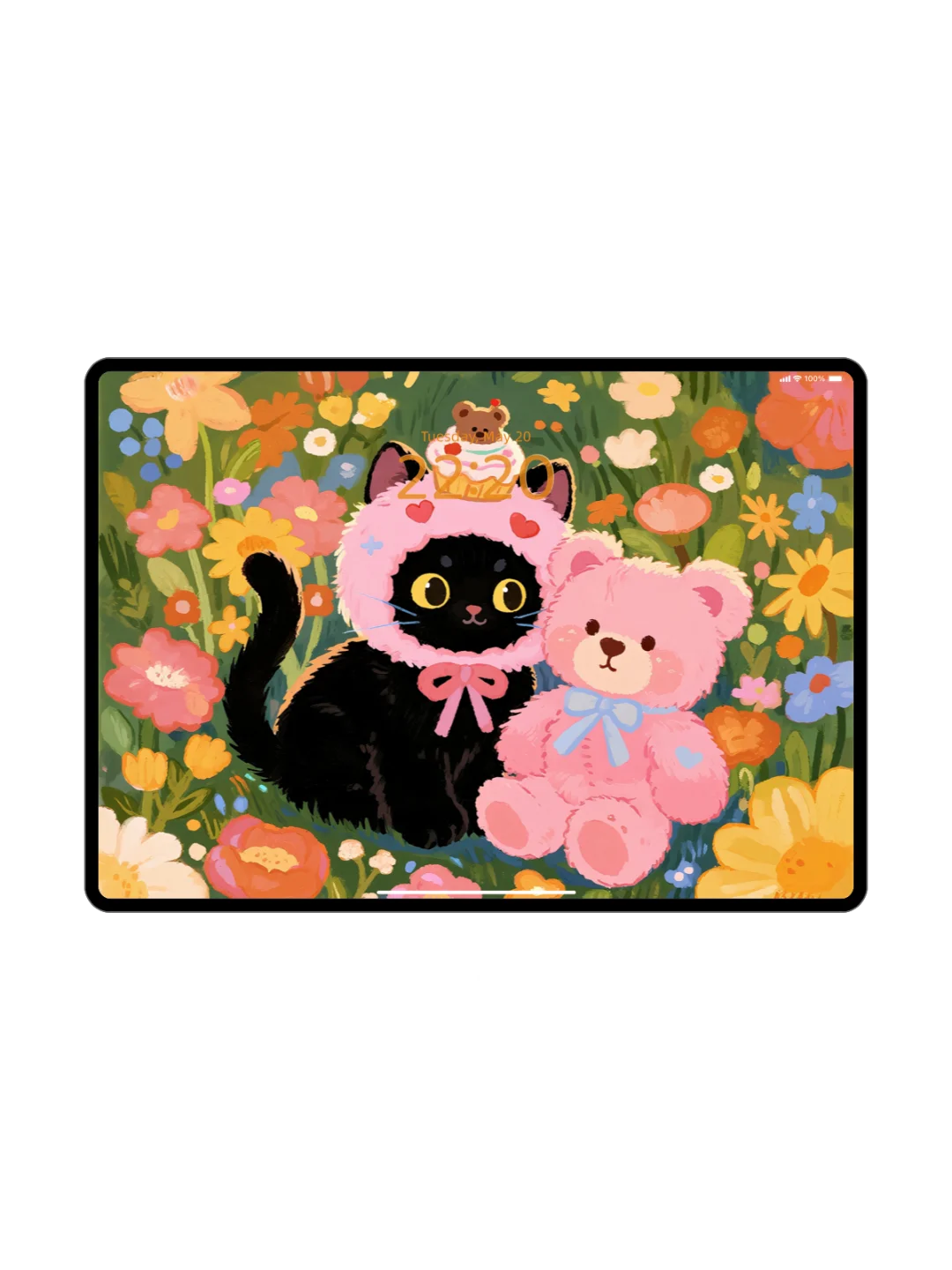 壁纸分享 | 熊熊和猫猫iPad壁纸